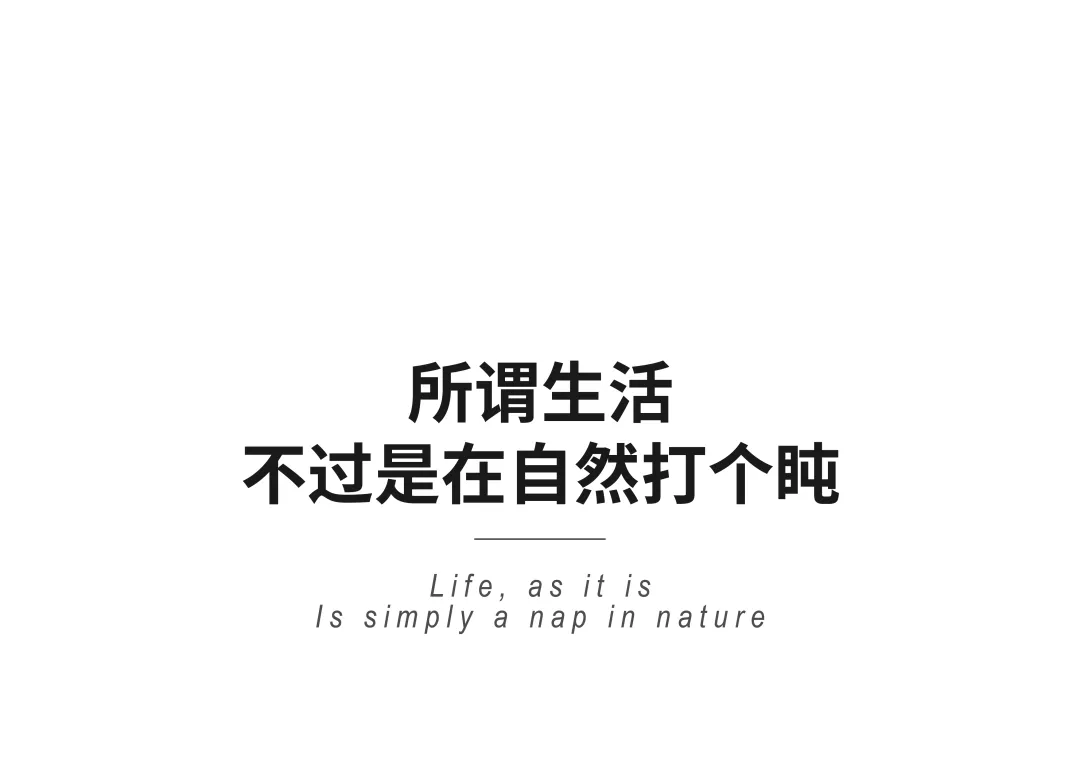 ҵ΢Žͼ_17471230162287.png